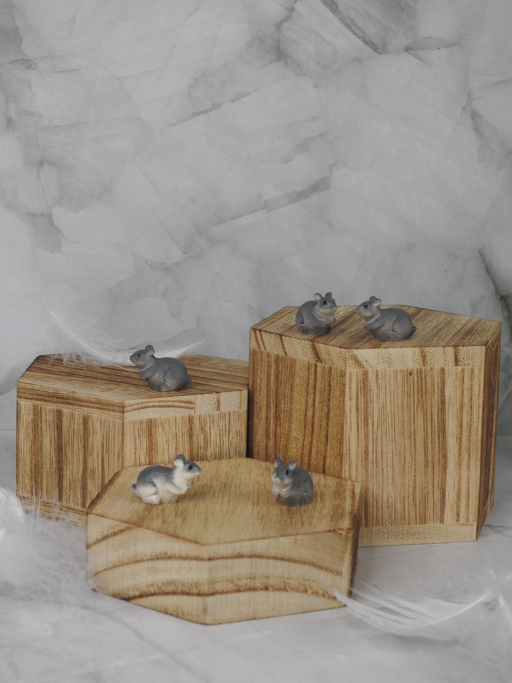 Mini souris – pochon de 5