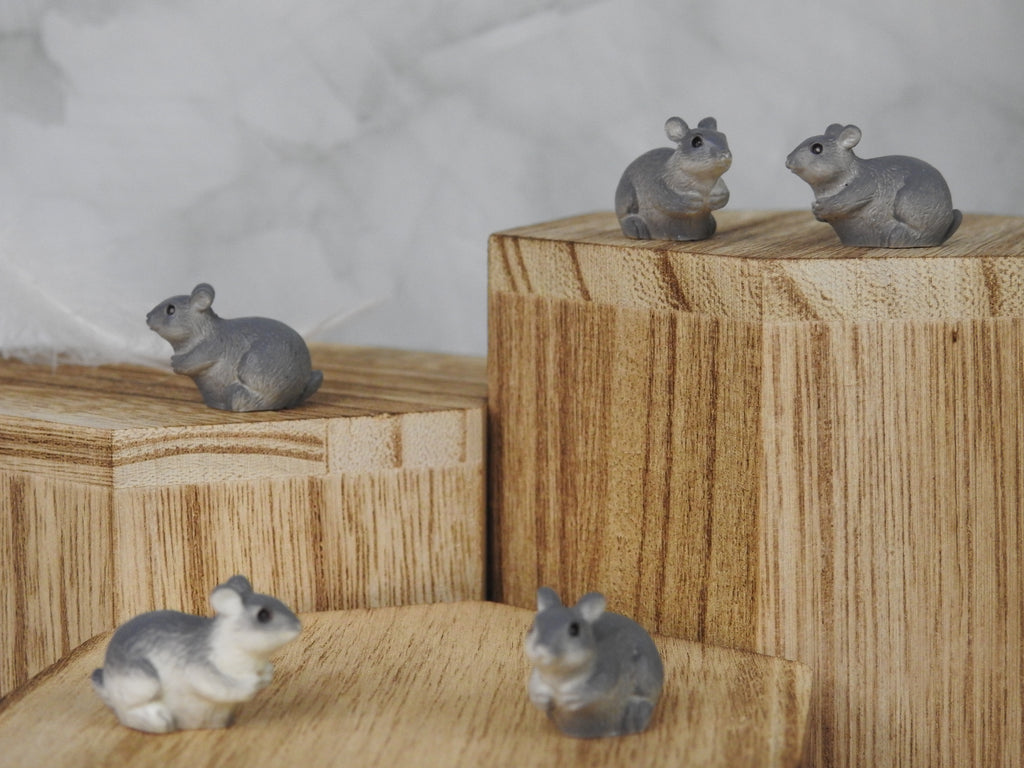 Mini souris – pochon de 5