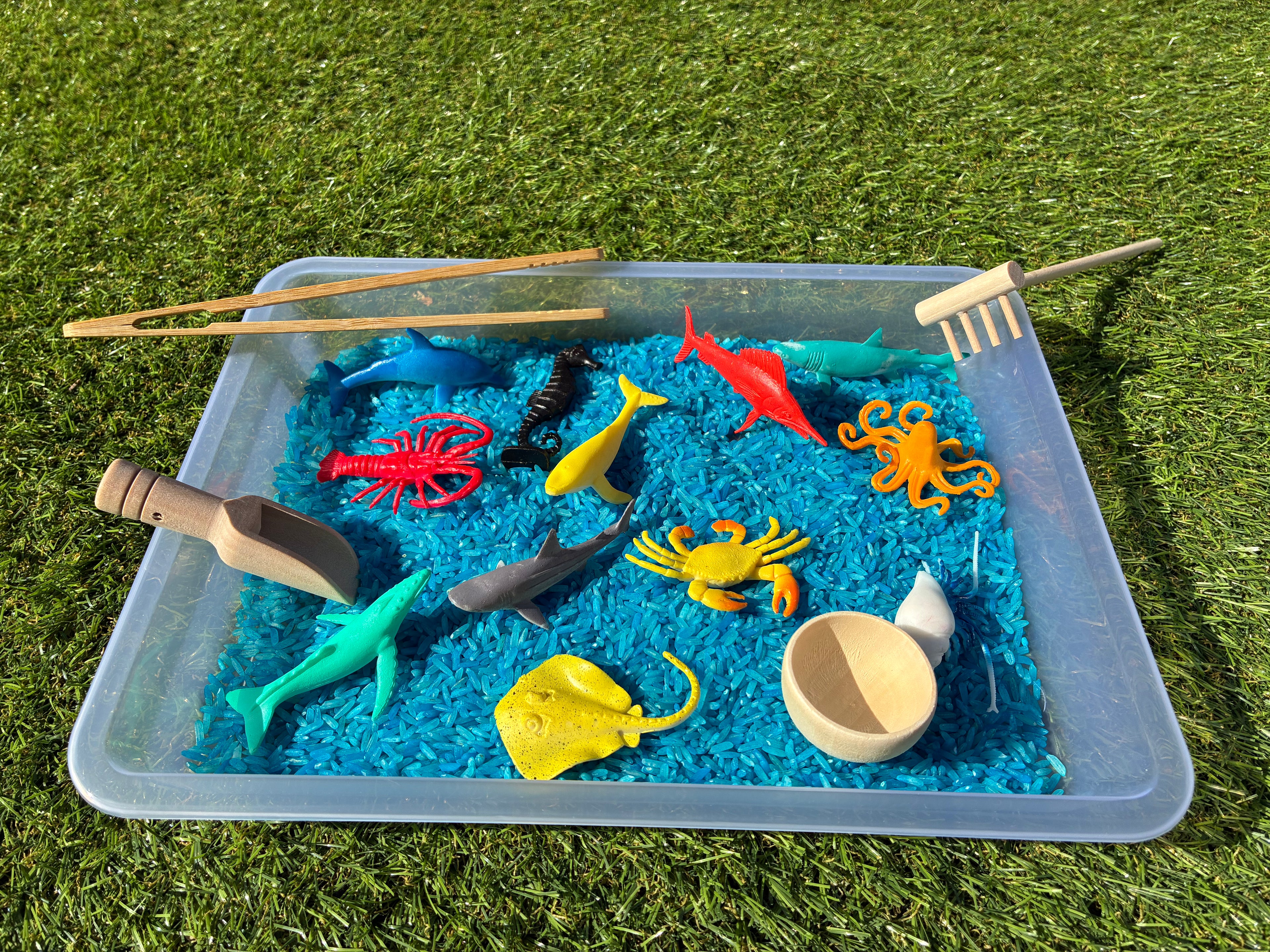 Animaux marins – Pochon de 12 figurines pour bac sensoriel